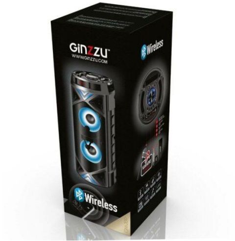 Ginzzu GM-209, 50W