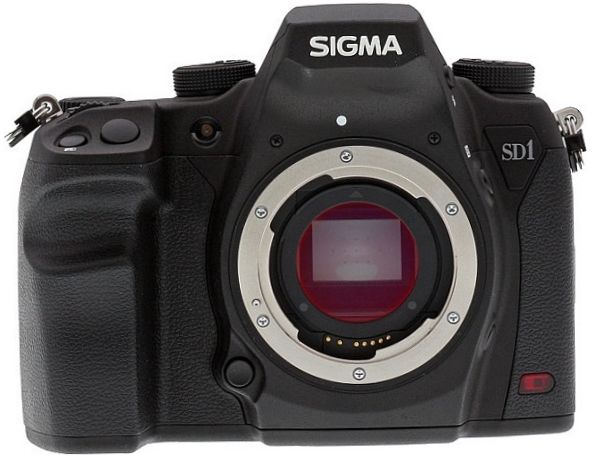 Sigma SD1 Merrill korpusas