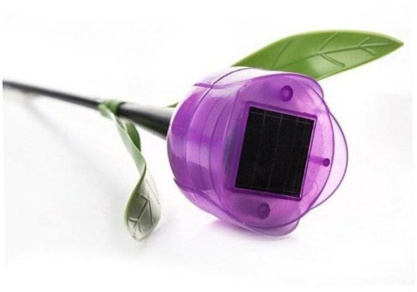 Uniel USL-C-453/PT305 Purple Tulip LED, 0.06W, Armatūros spalva: juoda, Plafono spalva violetinė, 1 vnt