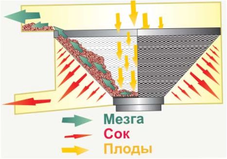 Separatoriaus darbo schema